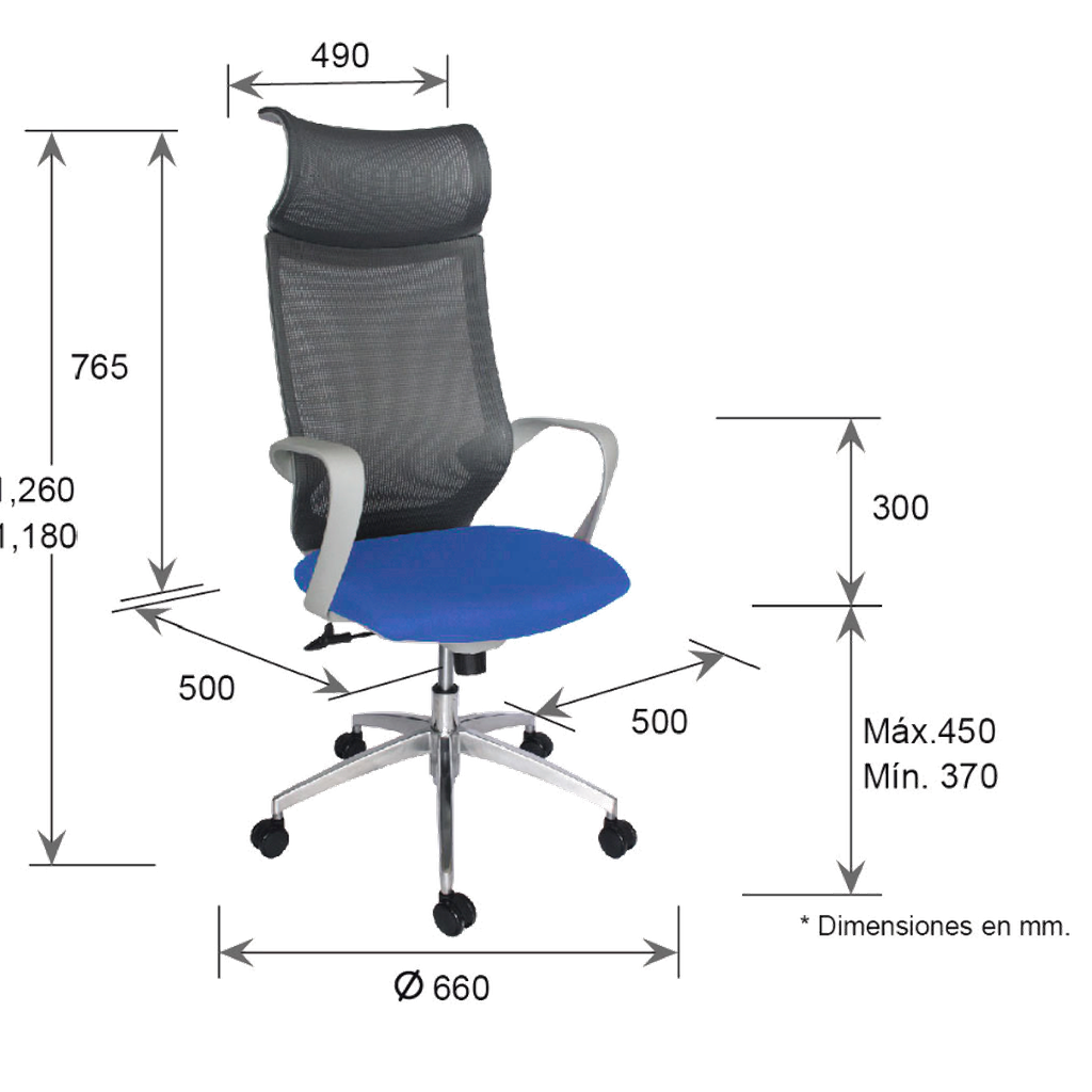 Turquesa Silla_26062