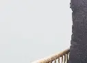 59383SO.0.5.webp