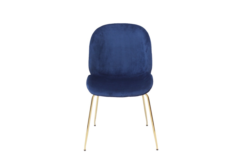 Liba silla azul // MP