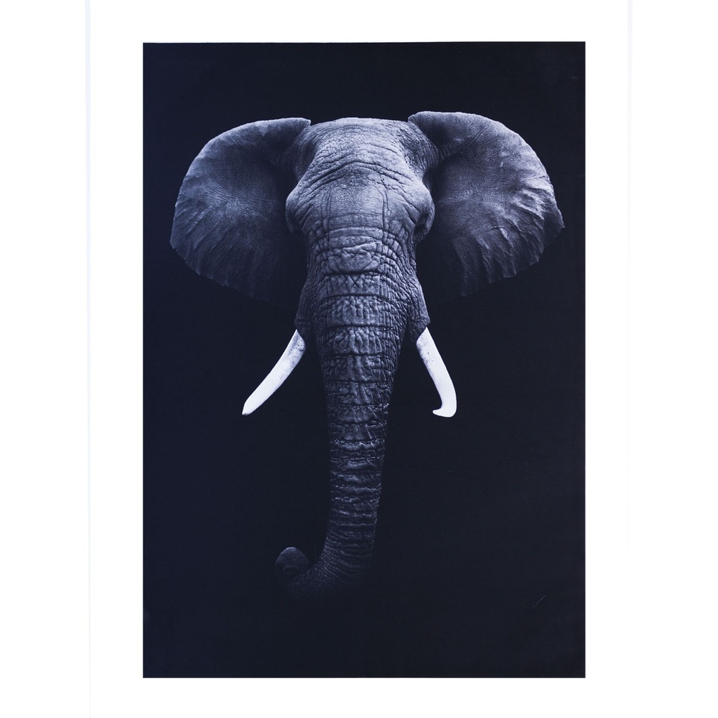 Cuadro elefant // MP