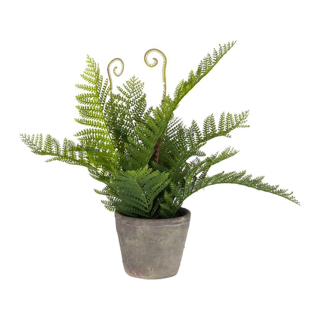 Fillcopsida planta artificial de 35 cm. // KH