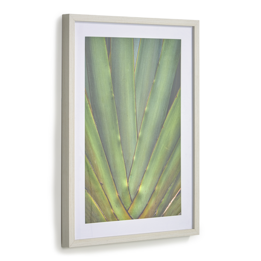 [AA8136] Lyn aloe vera cuadro verde // Outlet