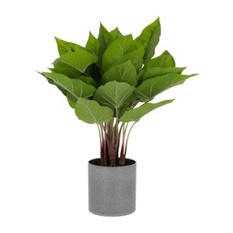 [AA5704] Anthurium planta artificial 50 cm. // KH